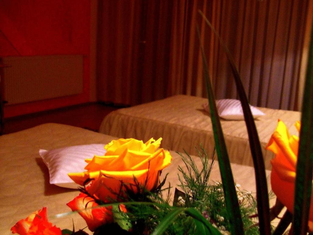 Hotel Ambassador Бая-Маре Экстерьер фото