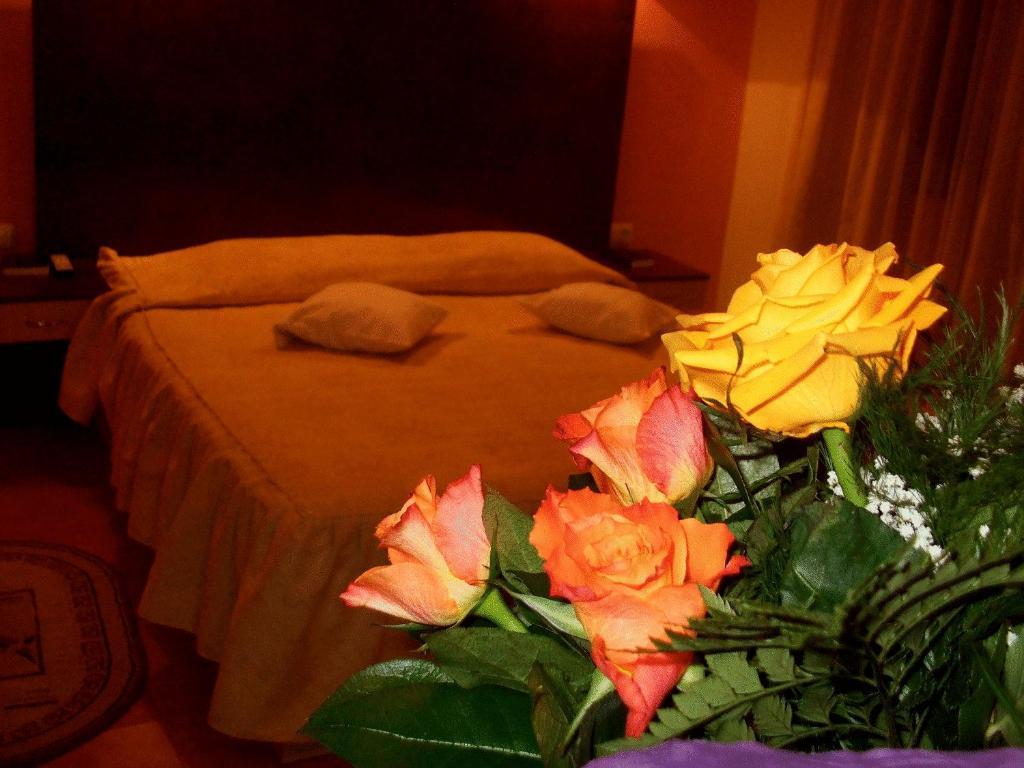 Hotel Ambassador Бая-Маре Экстерьер фото